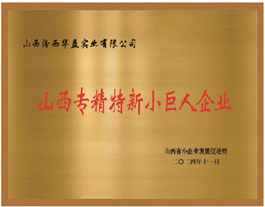 山西專精特新小巨人企業(yè).png